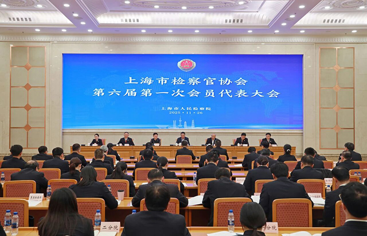 1764291410329061729.jpg 1 拷贝.jpg